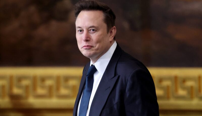 Elon Musk and DOGE: What he could do with government data