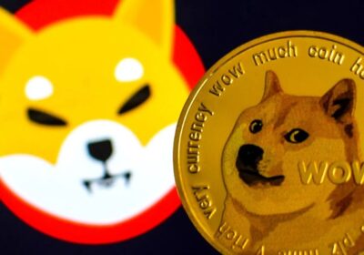 memecoins doge shiba